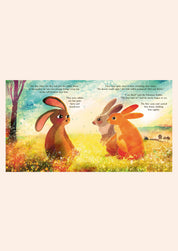 Velveteen Rabbit - Picture Book - Hardback