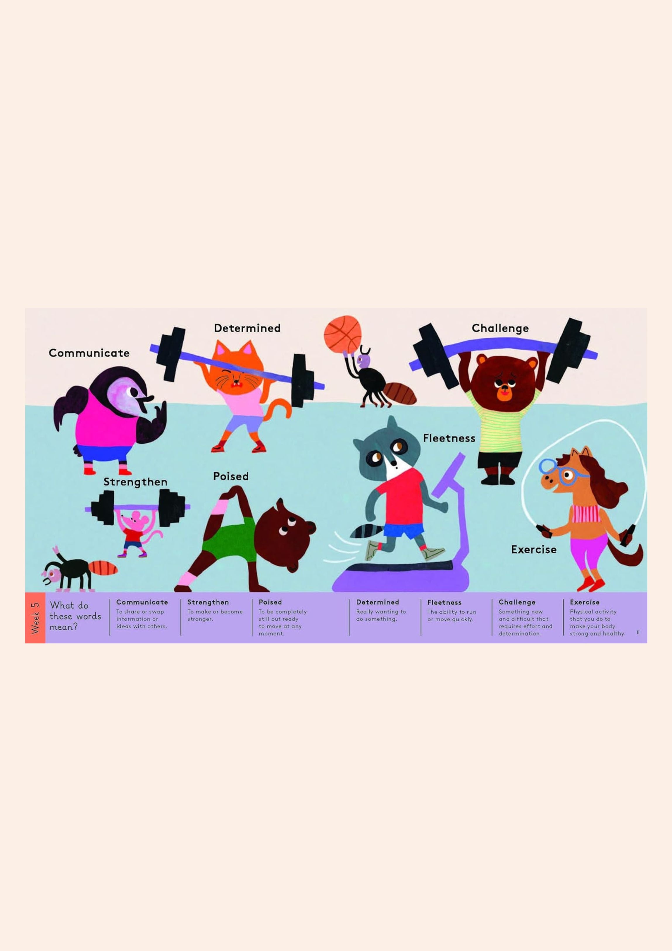 An Interesting Word For Every Day of the Year (PB)