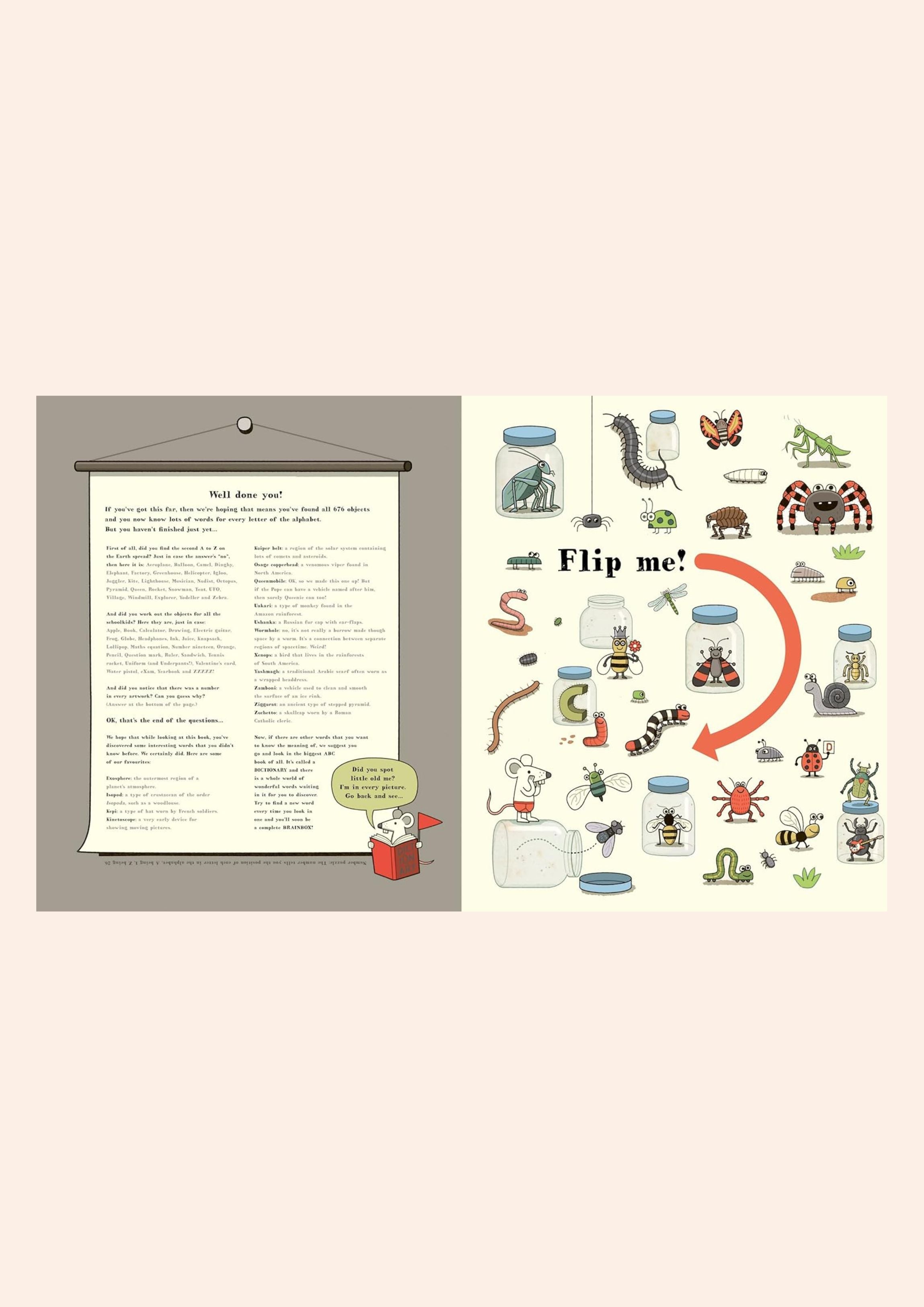 Search And Find Alphabet of Alphabets -  Wide Eye