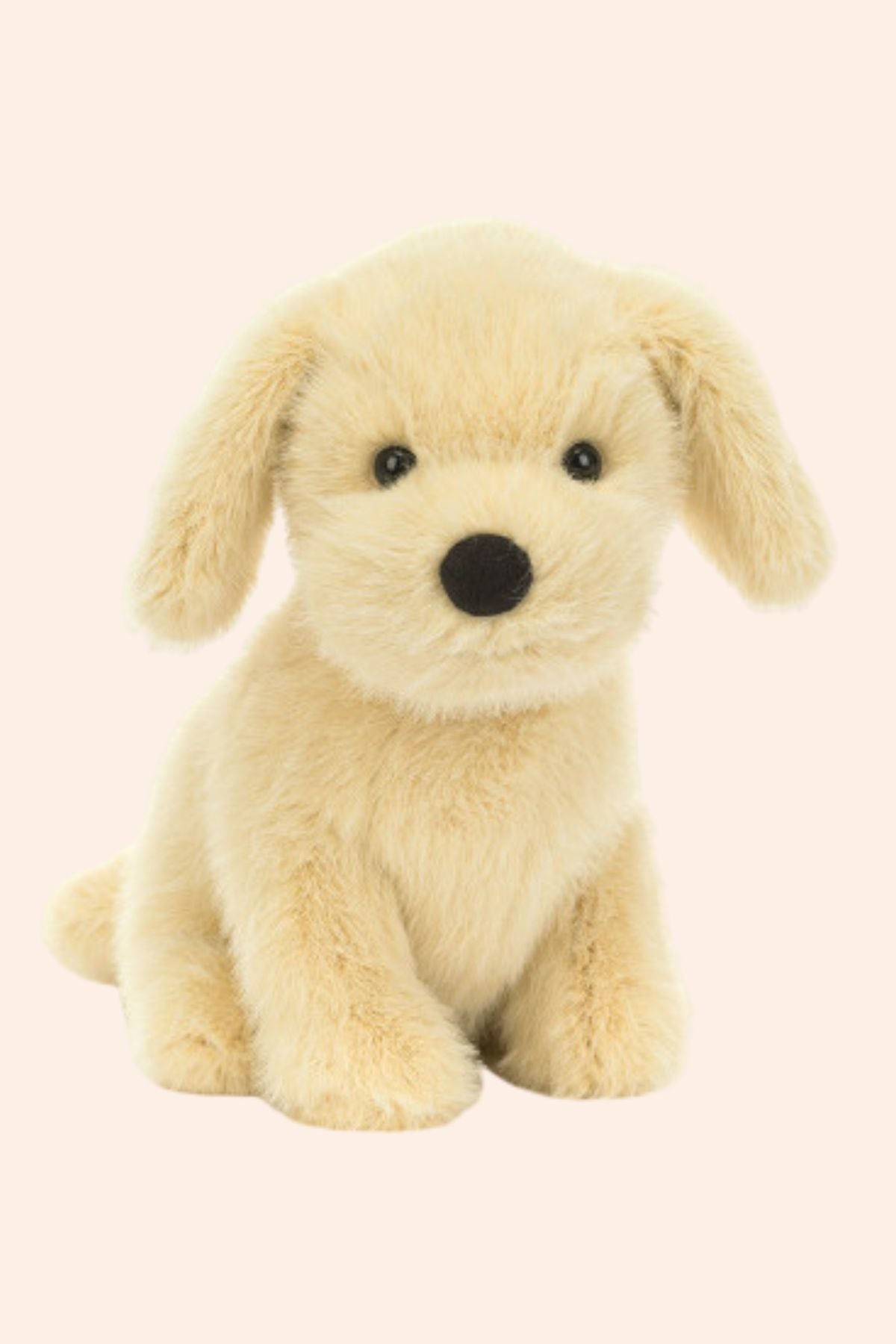 Plush toy dog on a beige background