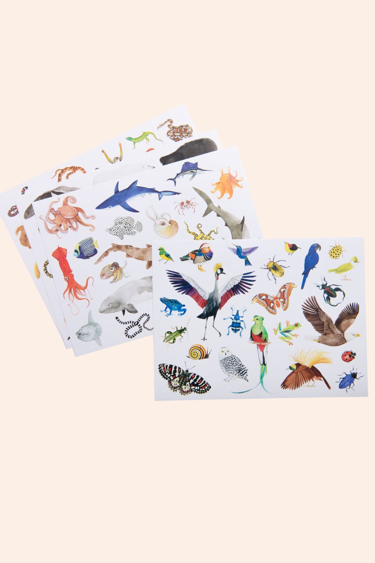 Moulin Roty - Pack of 78 stickers - Animal of the world stickers - Strawberries & Cream - Ingrid Lewis - Designer