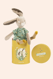 Moulin Roty - Trois Petits Lapins - Sauge the rabbit (in a box) - Strawberries & Cream - Ingrid Lewis - Designer
