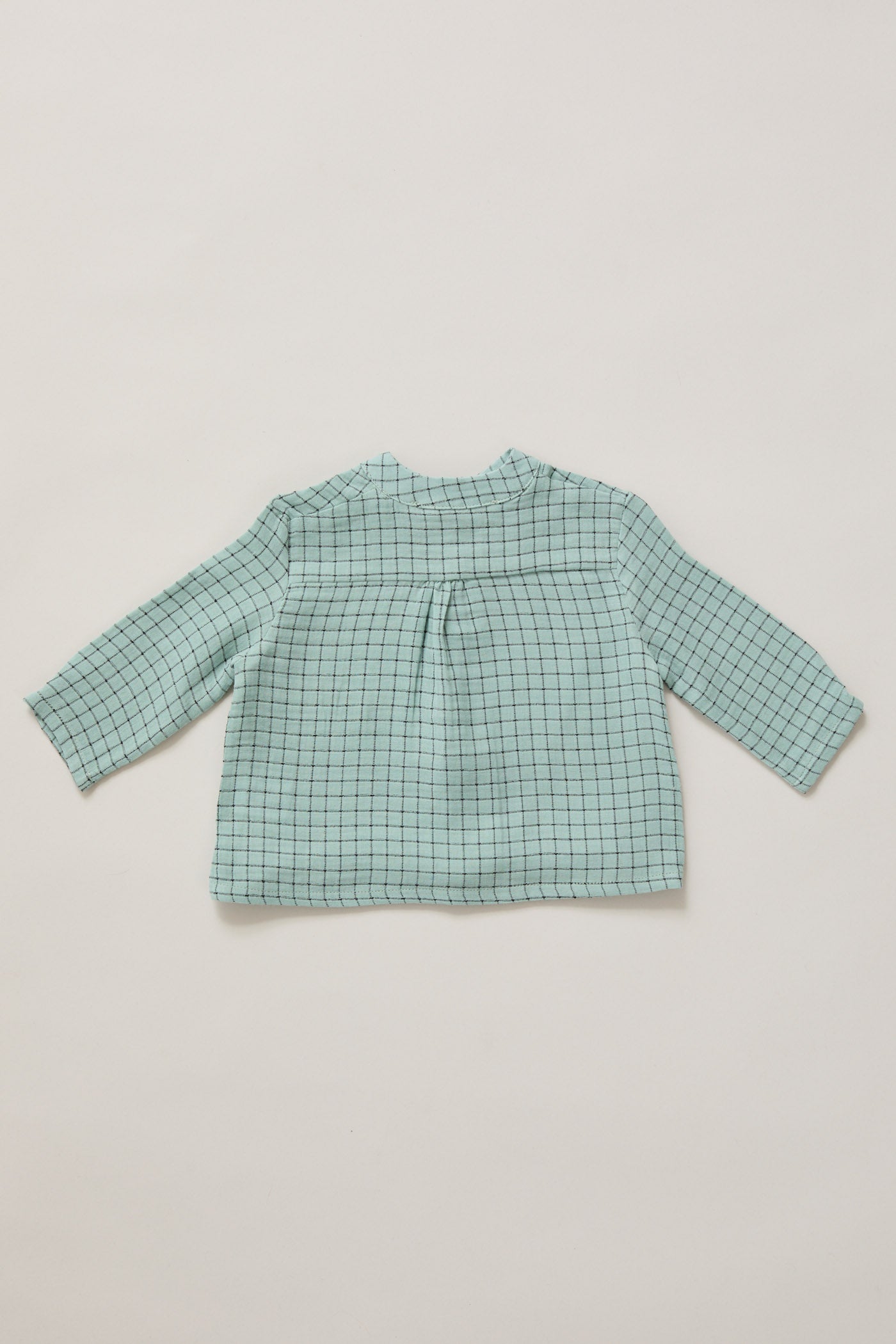 Apple Shirt In Aqua Check