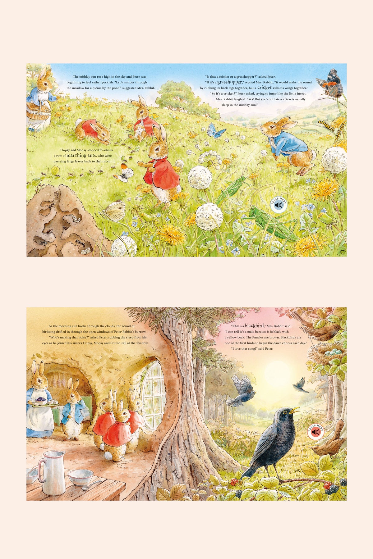 The World of Peter Rabbit: Peter's Nature Walk