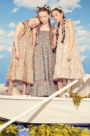Bee Dress In Sunrise Multi Liberty Print